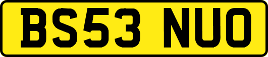 BS53NUO