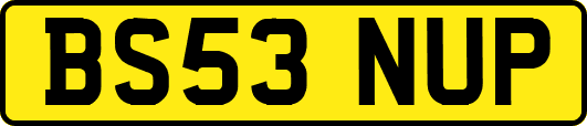 BS53NUP