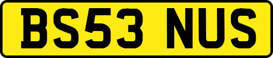 BS53NUS