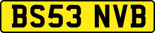 BS53NVB