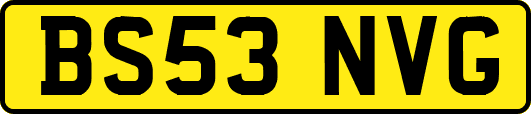 BS53NVG