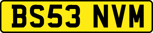 BS53NVM