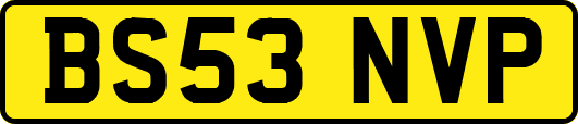 BS53NVP
