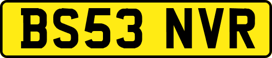 BS53NVR