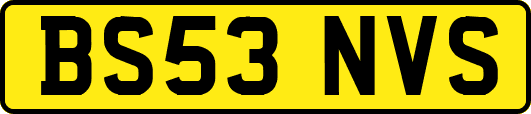 BS53NVS
