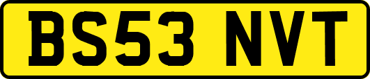 BS53NVT