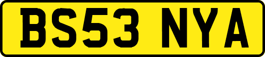 BS53NYA