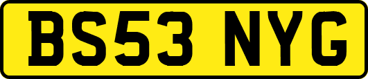 BS53NYG