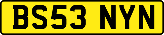 BS53NYN