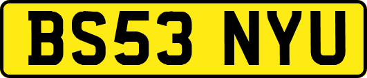 BS53NYU