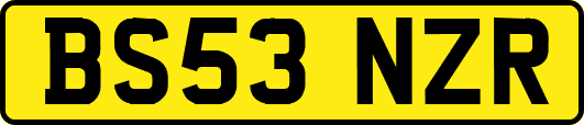 BS53NZR