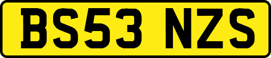 BS53NZS