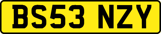 BS53NZY