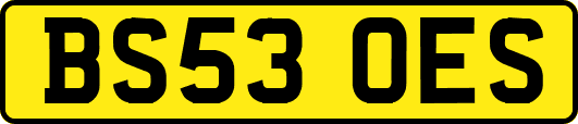 BS53OES