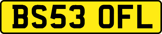 BS53OFL