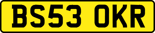 BS53OKR