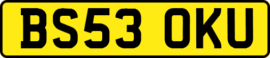 BS53OKU