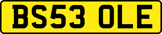 BS53OLE