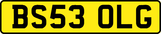 BS53OLG