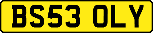 BS53OLY