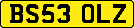 BS53OLZ
