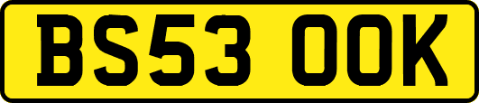 BS53OOK