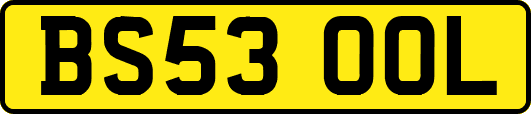 BS53OOL