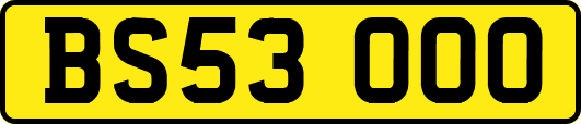 BS53OOO