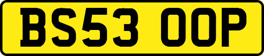 BS53OOP