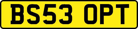 BS53OPT