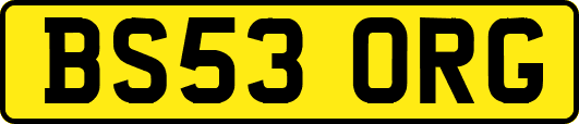 BS53ORG
