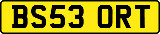 BS53ORT