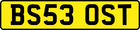 BS53OST