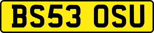 BS53OSU