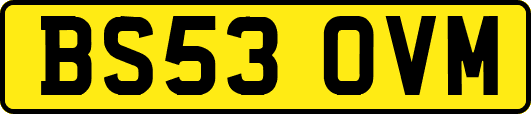 BS53OVM