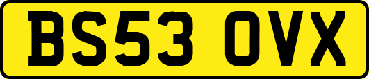 BS53OVX