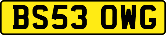 BS53OWG