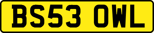 BS53OWL