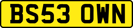 BS53OWN