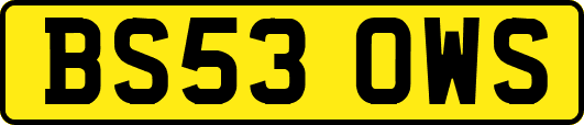 BS53OWS