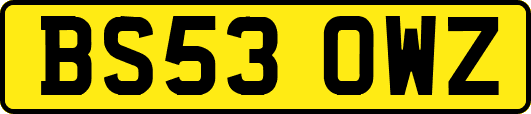 BS53OWZ