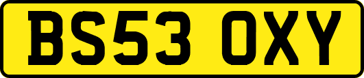 BS53OXY
