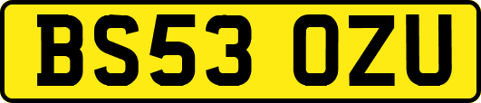 BS53OZU