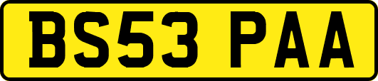 BS53PAA