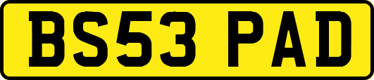 BS53PAD