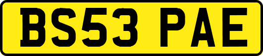 BS53PAE