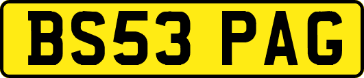 BS53PAG