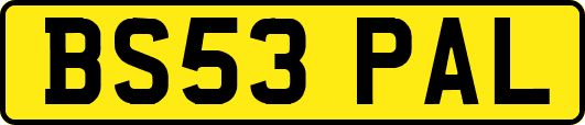BS53PAL