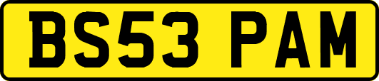 BS53PAM
