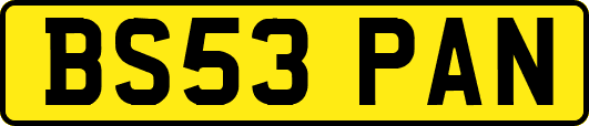BS53PAN